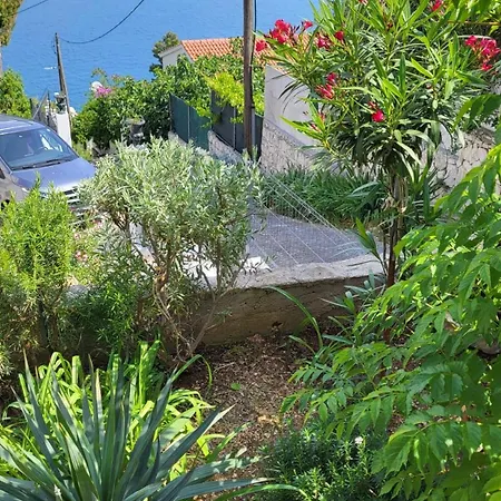 Apartmani Krizanac Donji Okrug  Room photo