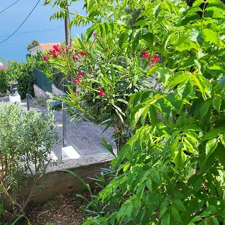 Apartmani Krizanac Donji Okrug  Room photo