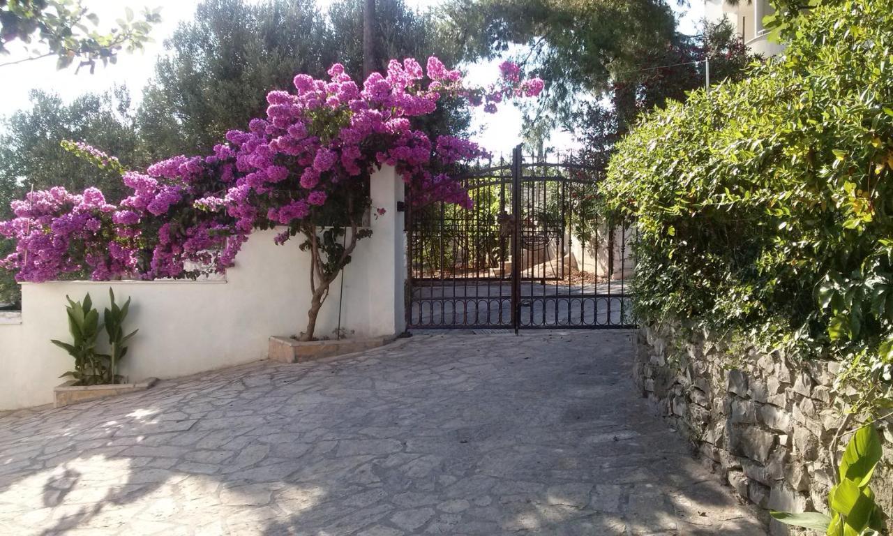 Krizanac Apartment Donji Okrug (Ciovo)
