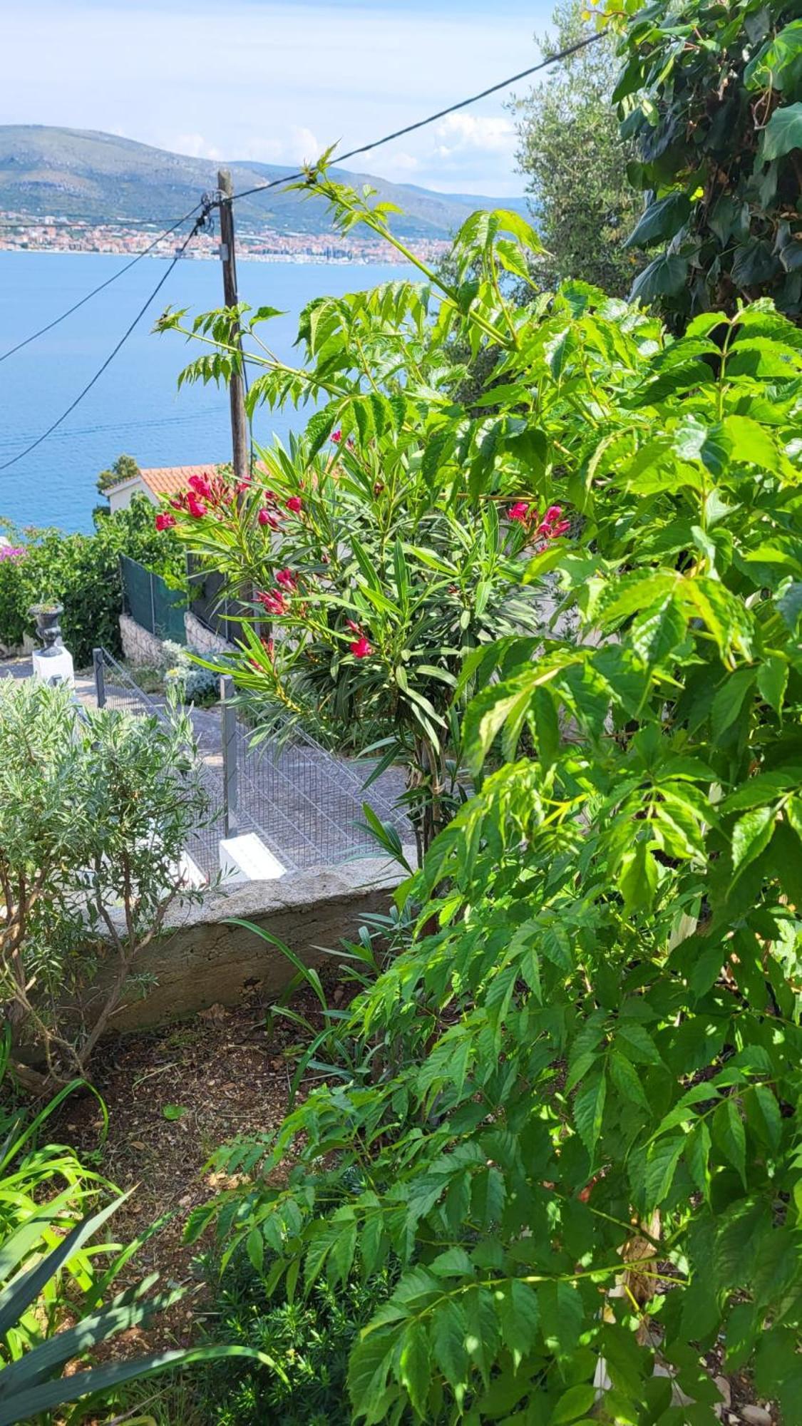 Krizanac Apartmán Donji Okrug (Ciovo)